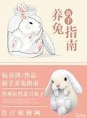 新手养兔子注意事项