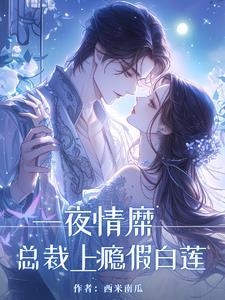 慕总叶小姐