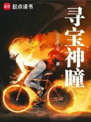寻宝神瞳百度