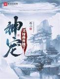 神宠来了游戏