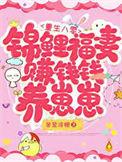 重生八零锦鲤妻宝书网