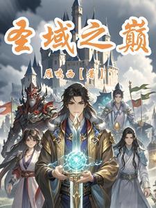 圣域之巅怎么没有步数