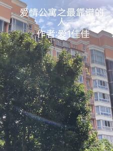 爱情公寓有谁