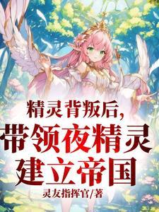 精灵的夜晚