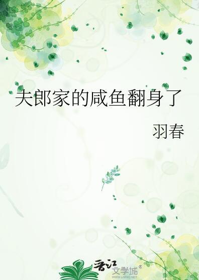 我家夫郎是个摊子