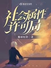 社会属性怎么理解