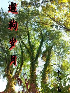 遛狗文艺的句子