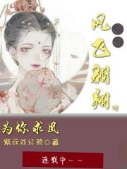 风飞翱翔四海求凰