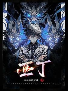 秩序之光大招什么意思