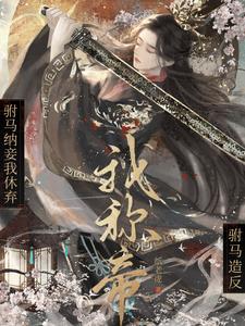 驸马会纳妾吗