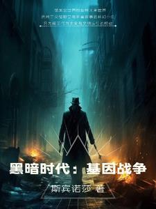 黑暗时代第