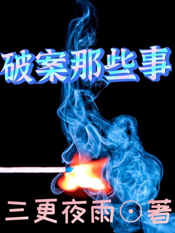 破案的案件