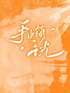 手电筒的速度