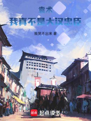 三国 我是袁术