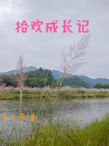 成长拾遗