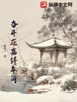 奋斗在嘉靖年间全本免费阅读无弹窗