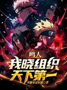 晓组织全体宠鸣人