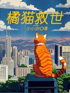 橘猫护主