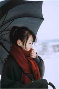 谢临风沈小七