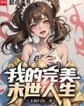 我的完美人生啊百科