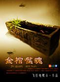 金棺陵兽笔趣阁