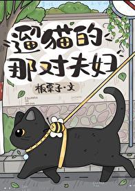 遛猫知乎
