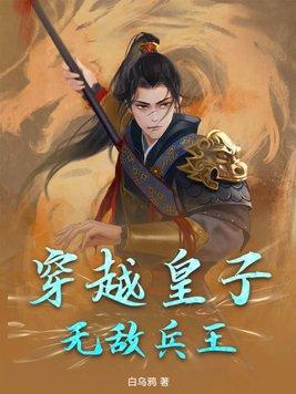 主角穿越皇子的