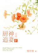 厨神追妻记txt百度